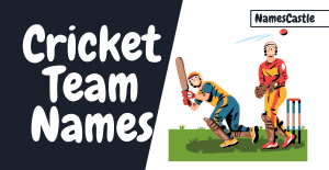 500+ Cricket Team Names Cool Unique Creative & Professioanl