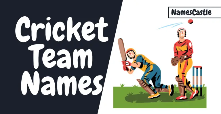 Unleash the Spirit of the Game: Creative Cricket Team Names for Every Squad
