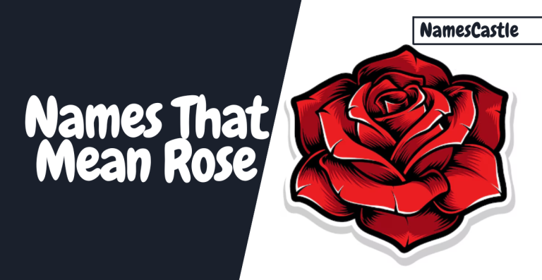 Blossoming Beauties: English Names That Mean Rose for a Touch of Elegance!