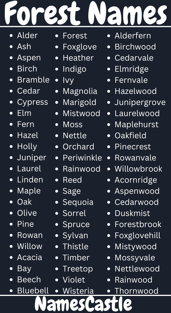 550+ Forest Names Unique Creative Famous Cool & Meaningful