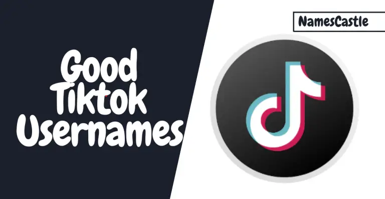 ViralVerse: Crafting Catchy and Good TikTok Usernames for Your Profile!