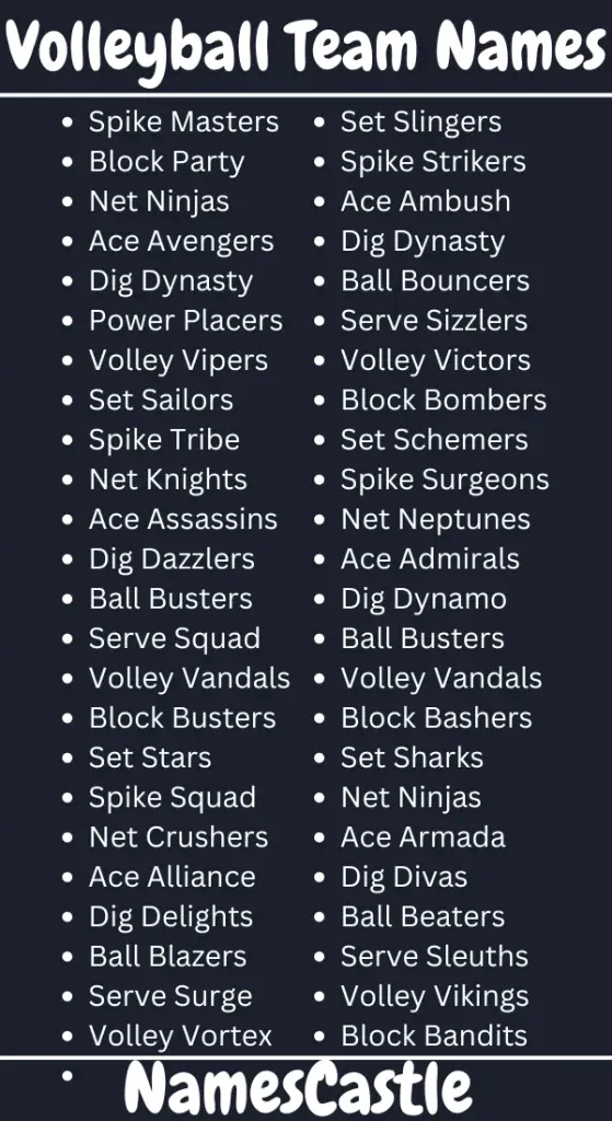 Volleyball Team Names