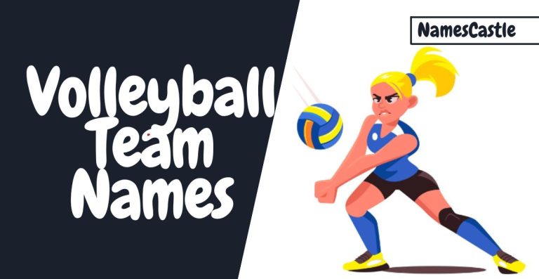 Spiking Success: Catchy Volleyball Team Names to Ace Your Game!