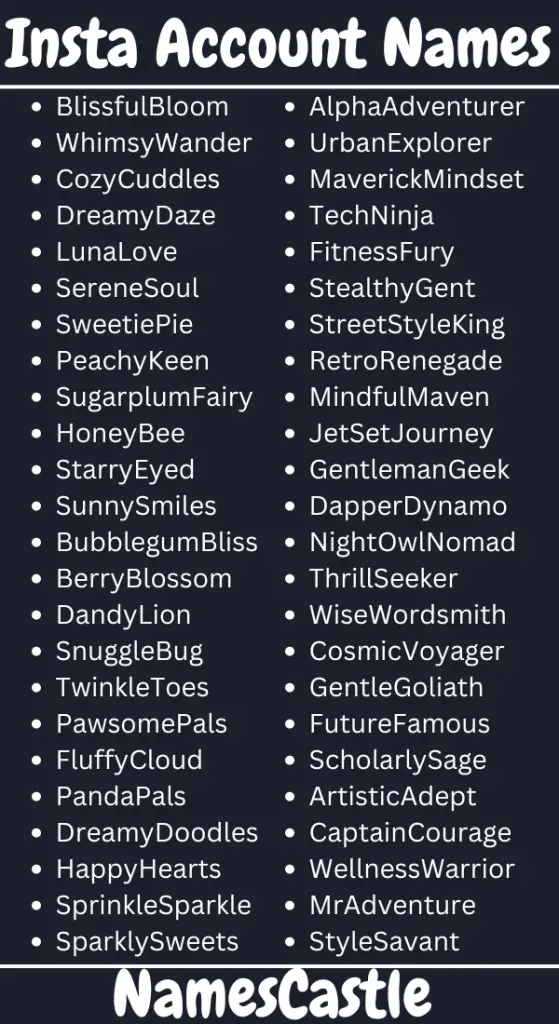 Account Names For Instagram