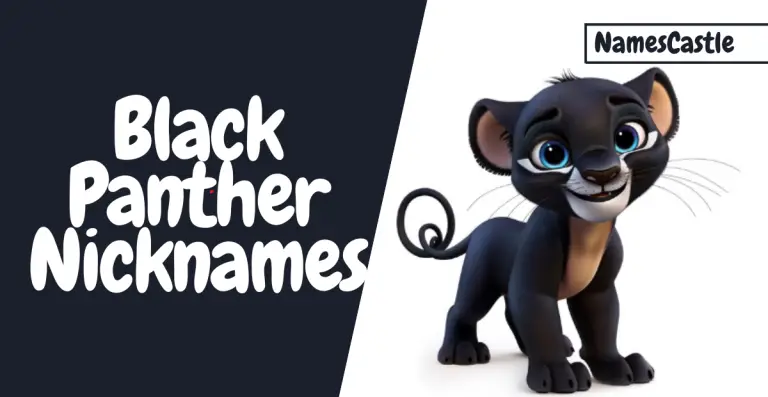 Black Panther Nickname