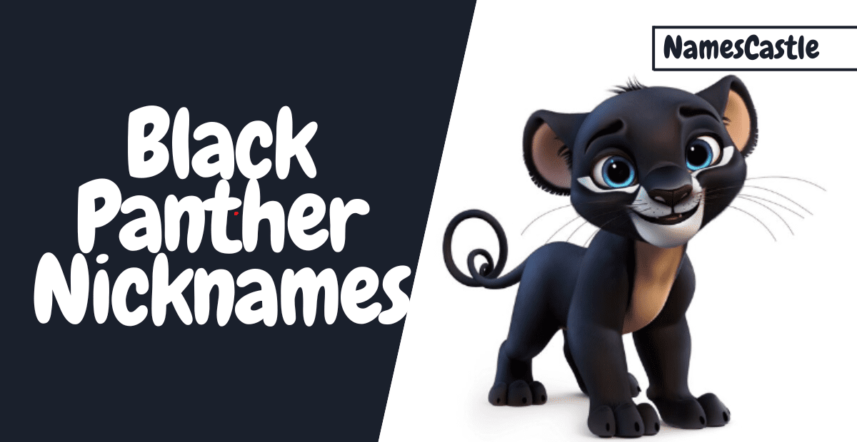 570 Black Panther Nickname Unique Creative Funny Cute