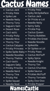 530 Names For Cactus Unique Creative Funny Cool Catchy 530-names-for-cactus-unique-creative-funny-cool-catchy