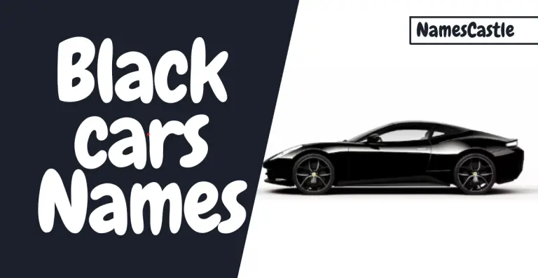 Names Of Black Cars