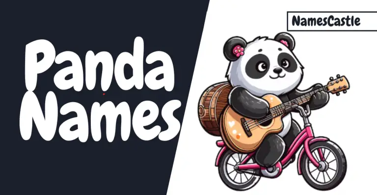 570+ Panda Names Unique Stylish Creative Funny Cool & Cute