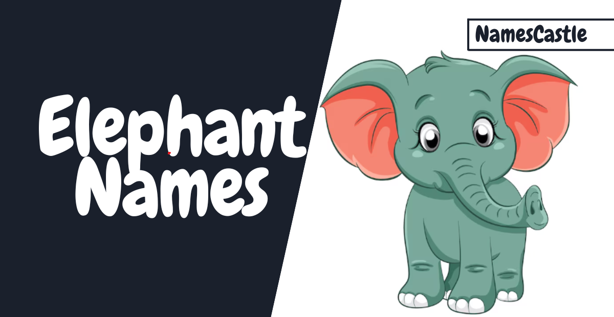 Elephant Names