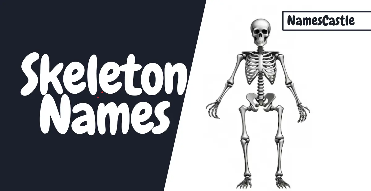 Skeleton Names