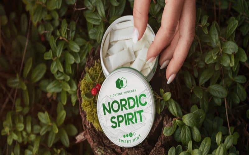 Nordic Spirit