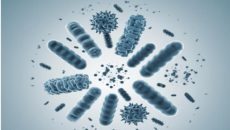 Understanding MicroBiome Restore Key Ingredients and Benefits