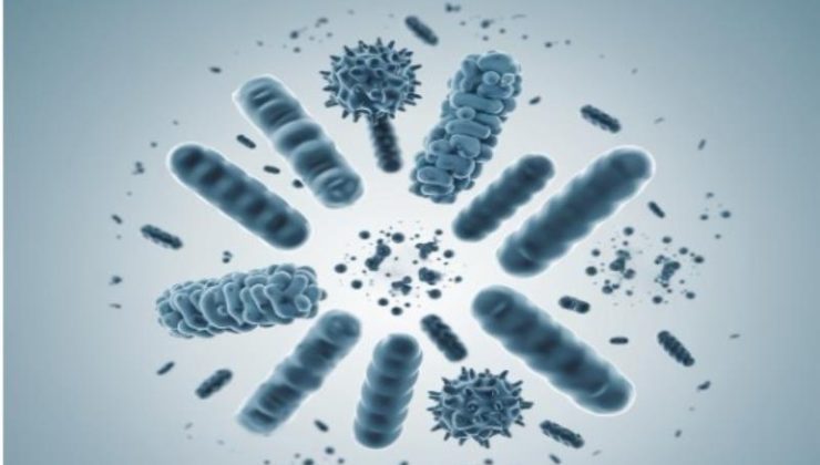 Understanding MicroBiome Restore Key Ingredients and Benefits