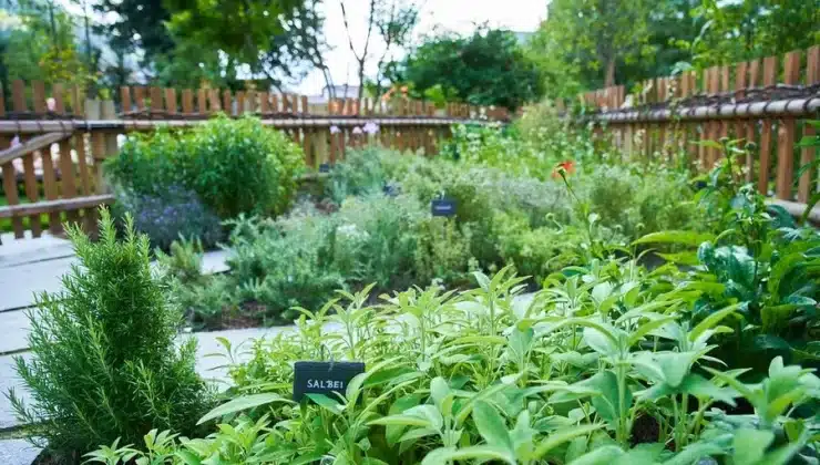 Green Herb