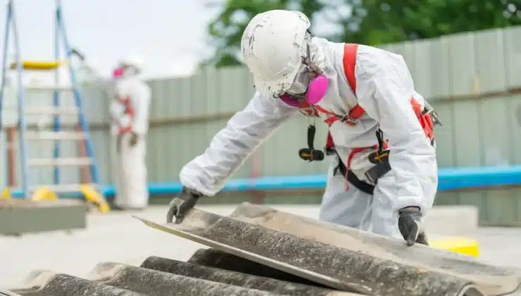 Professional Asbestos Survey