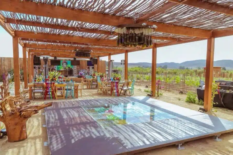 Casa Frida Art, Wine, And Color In Valle De Guadalupe