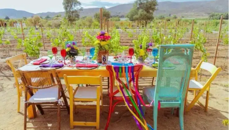 Casa Frida Art, Wine, And Color In Valle De Guadalupe