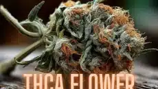 Using Thca Flower 7 Creative Ways To Mix It Up