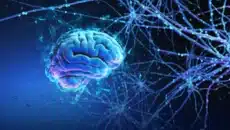 What Challenges Arise In Dmpk Data Interpretation