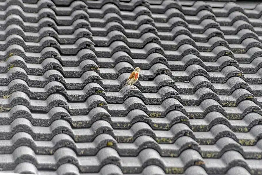 Residential Roofing Services 