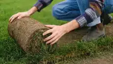 Turf