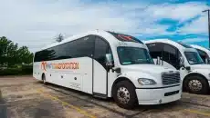 Travel Needs