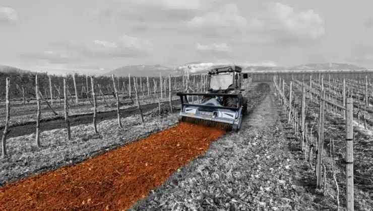 Land Management Across