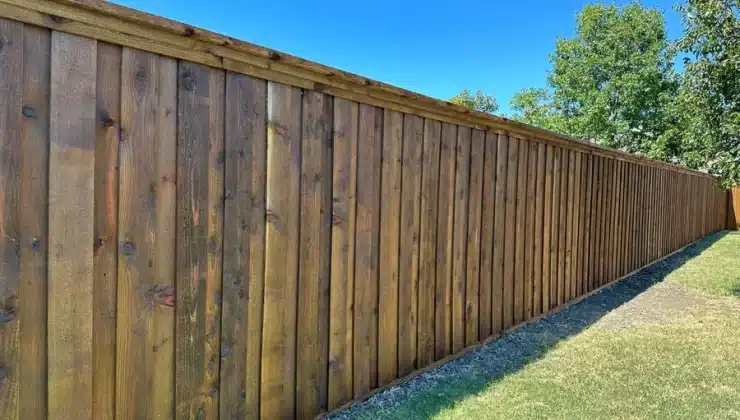 Cedar Fences