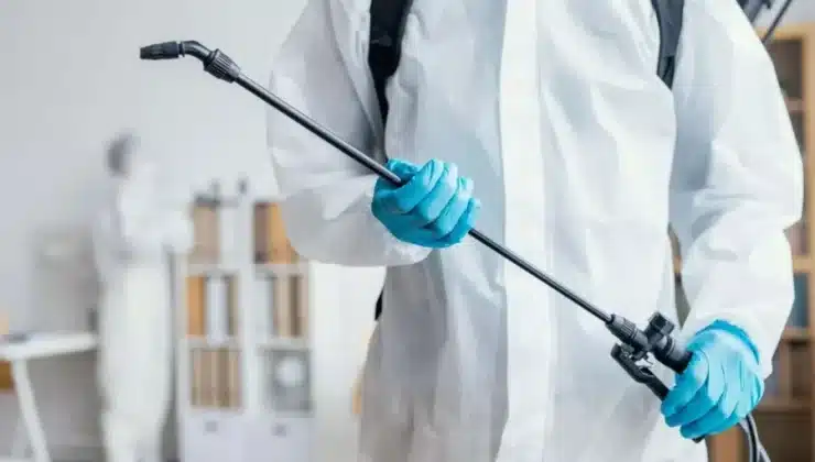Residential Pest Control Solutions for Croydon Homes in 2025