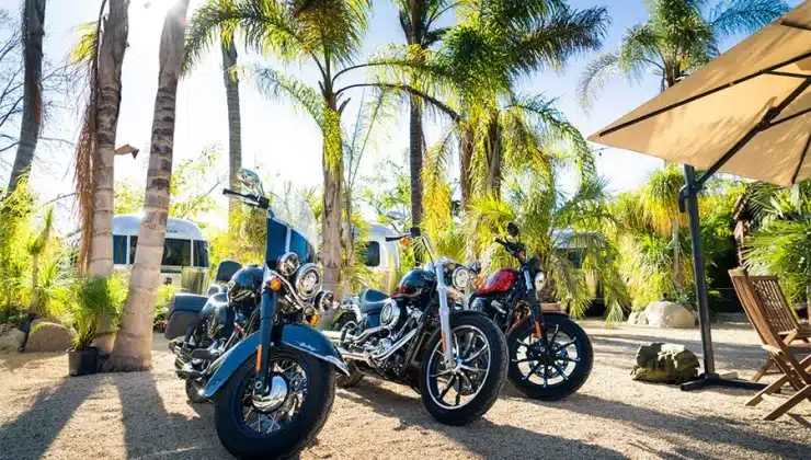 Harley Davidson