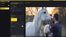Video Creation