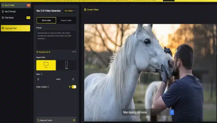 Video Creation