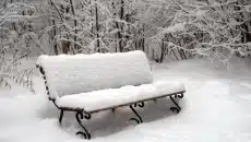 Snow Removal