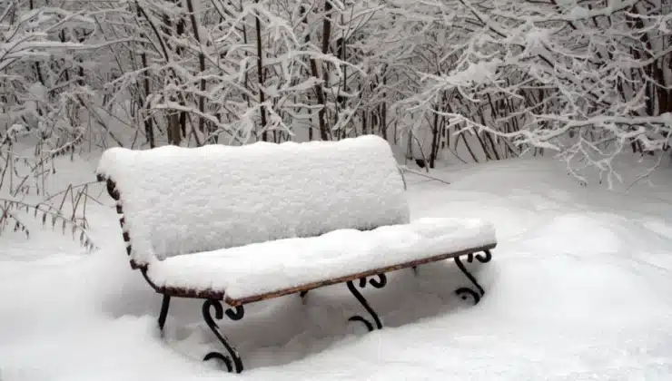 Snow Removal