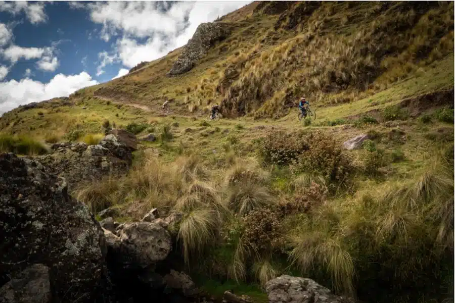 Essential List for Your Adventure