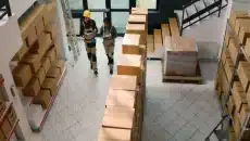 Free Moving