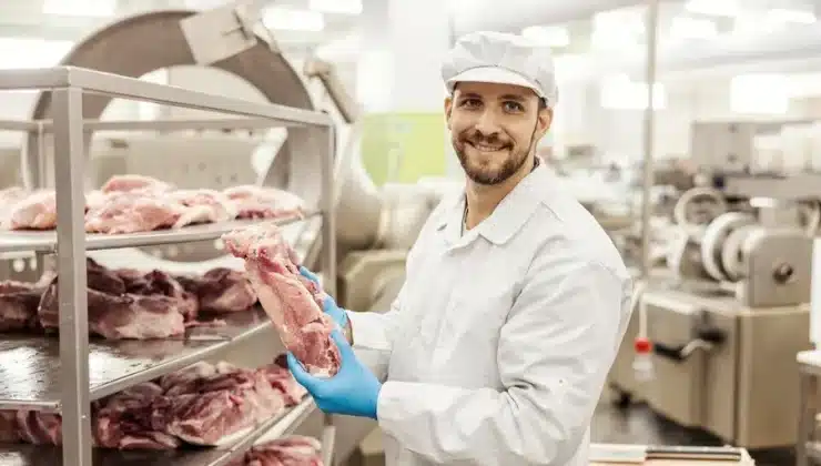Meat Delivery