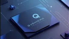 About Qushvolpix Brand