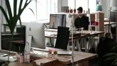 WPS Office