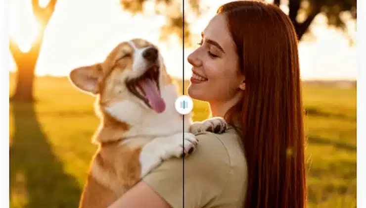 Why Editors Use Image Upscalers and Watermark Removers