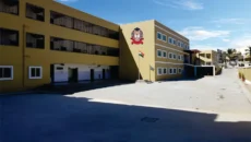 Development