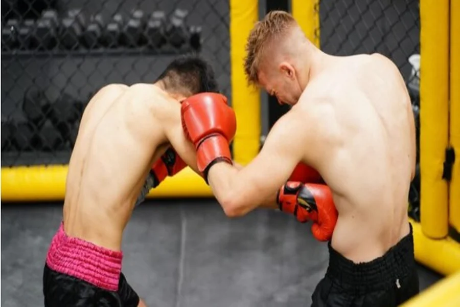 Lethwei’s